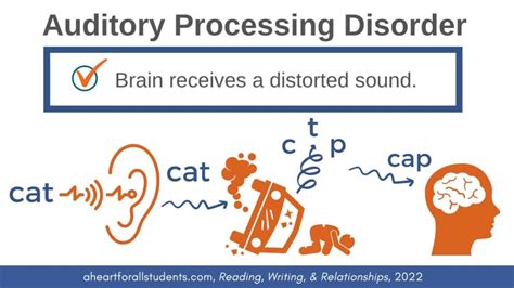Auditory Processing Devices 的图像结果