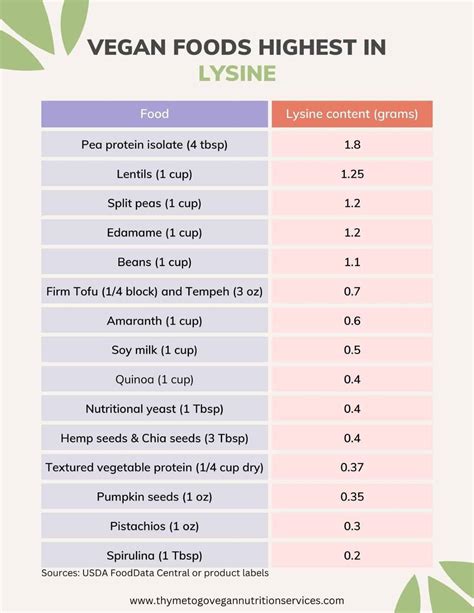 The 17 Best Vegan Sources of Lysine - Thyme to Go Vegan RD
