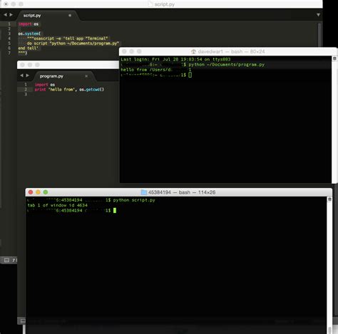 How to Open a Terminal Python 的图像结果