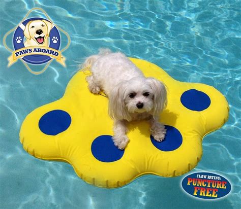 dog pool: dog pool floats