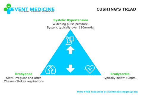 Patient Assessment — Event Medicine Group - Education, Planning ...