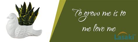 Lasaki Dove Ceramic Pot for Indoor Plants, Planters, Flower,Gamla for ...