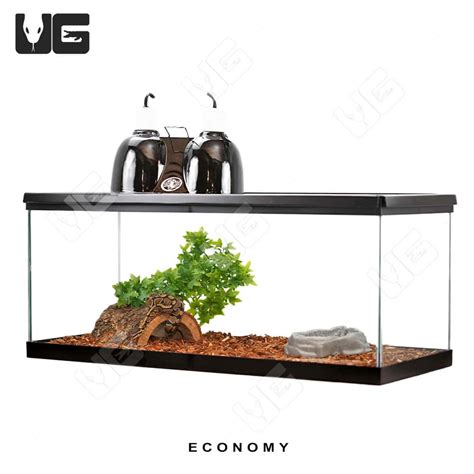 Ball Python Terrarium Setup 的图像结果
