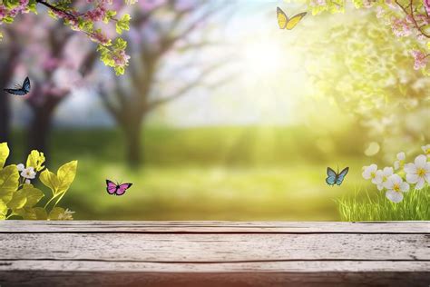 Image result for Spring Ambience Background