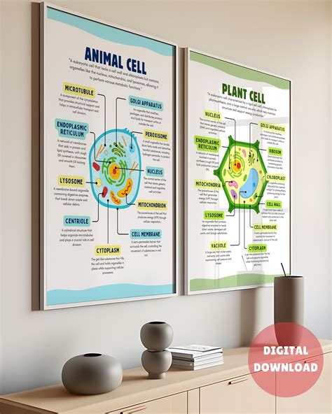 Image result for Basic Cell Structure Poster