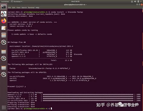 FastQC Tutorial Windows 的图像结果
