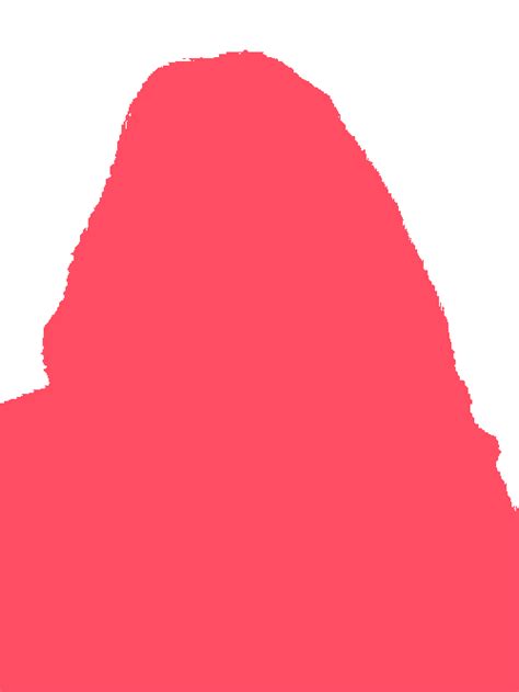 Human Matting Dataset 的图像结果