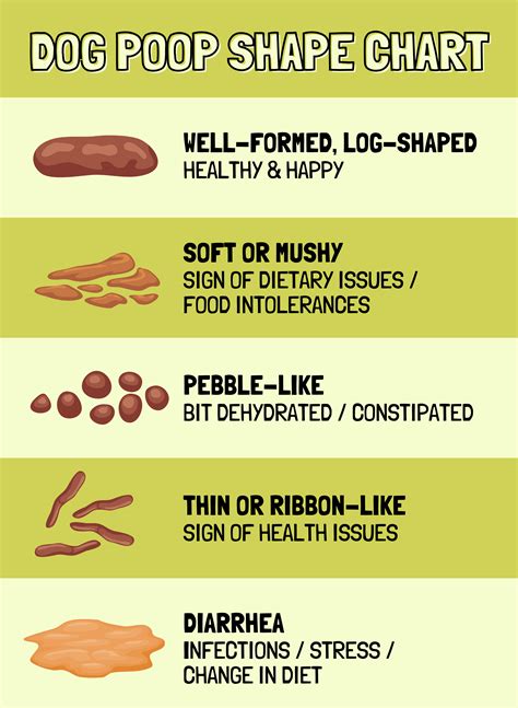 Ribbon Poop