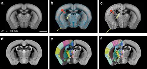 Image result for Alien Science Diagram