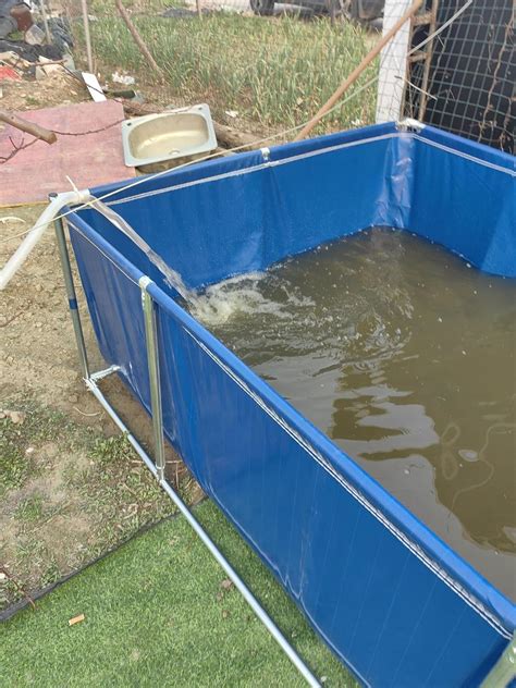 RENLXFI Above Ground Canvas Fish Pond, 50 100 160 200 240 India | Ubuy