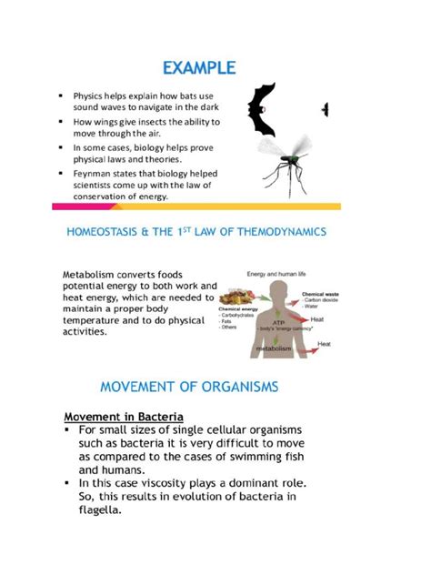 Image result for Integrated Science Basics