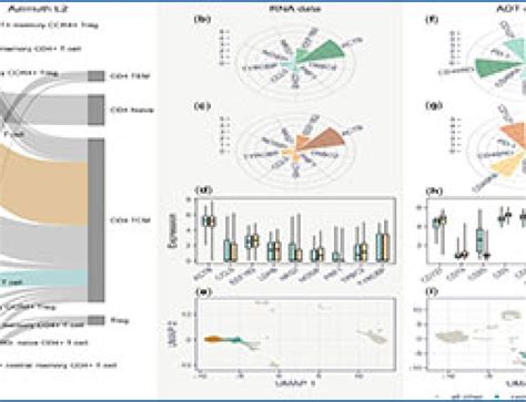 Single-cell RNA-seq 的图像结果