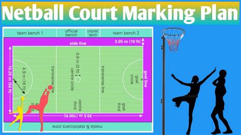 Netball Position 的图像结果