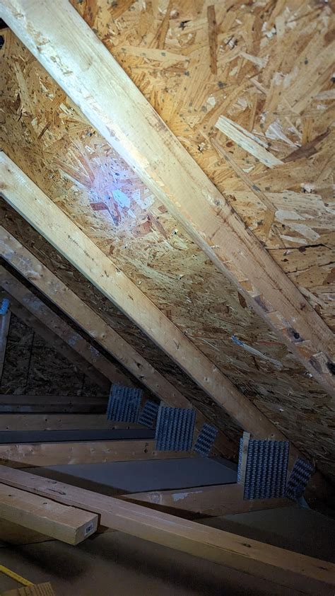 Mold in attic above garage : r/Mold