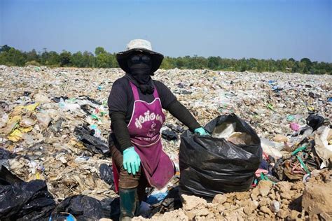 Local Waste Management 的图像结果