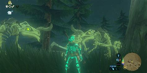 Best Armor BOTW - Fyuu