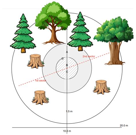 Modeling Forest Regeneration Dynamics: Estimating Regeneration, Growth ...