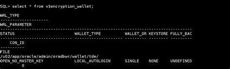 Oracle Database Encryption 12C 的图像结果