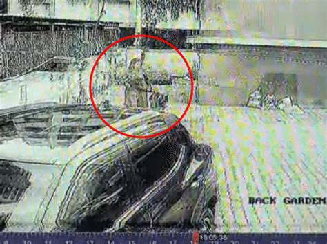 Terror of pet dog German Shepherd in Surat | સુરતમાં જર્મન શેફર્ડનો 7 ...