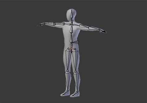 Blender Rigging Tutorial Low Poly 的图像结果