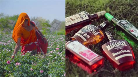 5 Homegrown Liqueurs From The Royal Families Of Rajasthan Can Take You ...