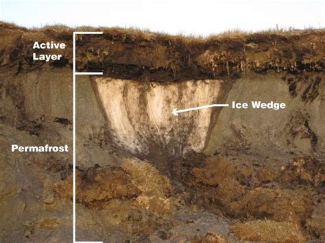Thawing Permafrost in the Arctic -UPSC Current Affairs - IAS GYAN