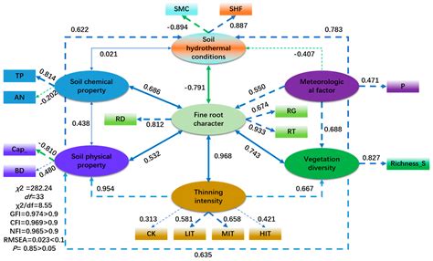 Stand Density Management of Cypress Plantations Based on the Influence ...