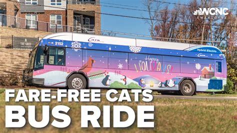 Charlotte Cats Bus Stop