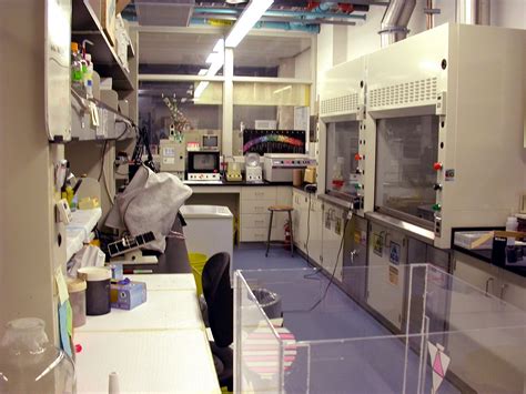 Image result for Lab Walkthrough