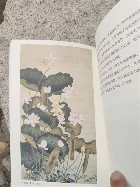 "Chinese Poetry Open Class" Poetry Twelve Lessons, Three Thousand Years ...