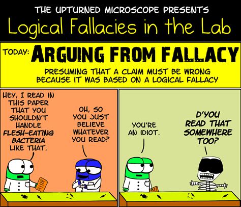 Logical Fallacies Definition And Examples at William Bremner blog