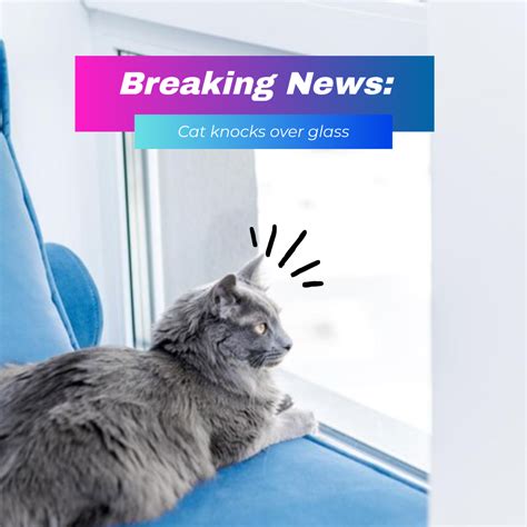 Breaking News Local Meme 的图像结果