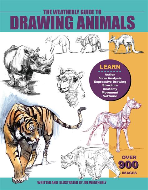 animal drawing pdf