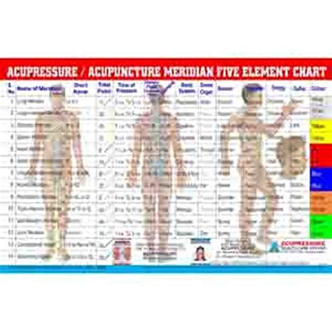 Amazon.in: Buy Amazon Meridian Five Element Chart-Panch Tatvah Book ...