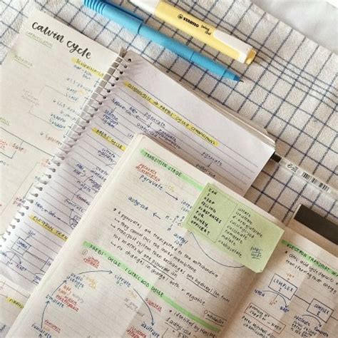 Image result for Step Study Notebook