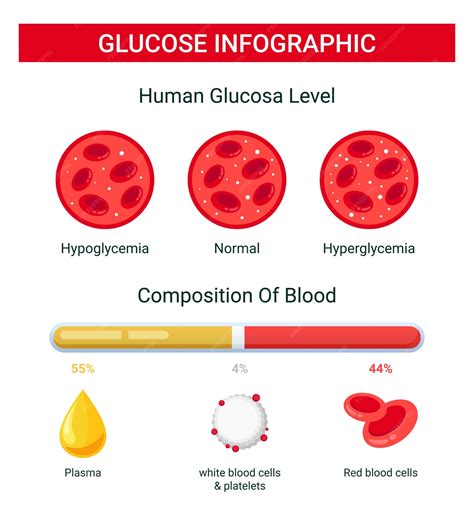 Glucose blood infographic, human glucose level, blood glucose ...