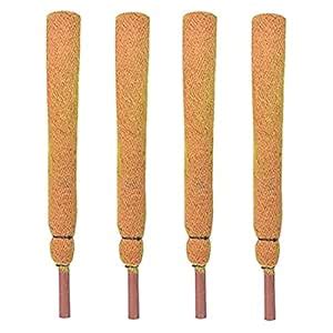 Divine Tree Coco Pole Moss Stick for Money Plants (5 Ft_Pack of 4 ...