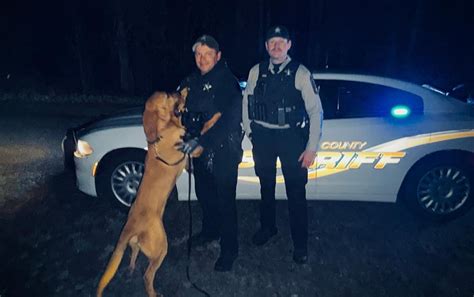 Halifax County K9 helps deputies apprehend man who fled crime scene