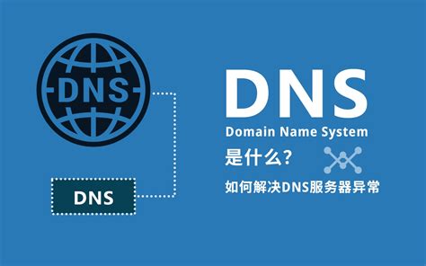 DNS 的图像结果