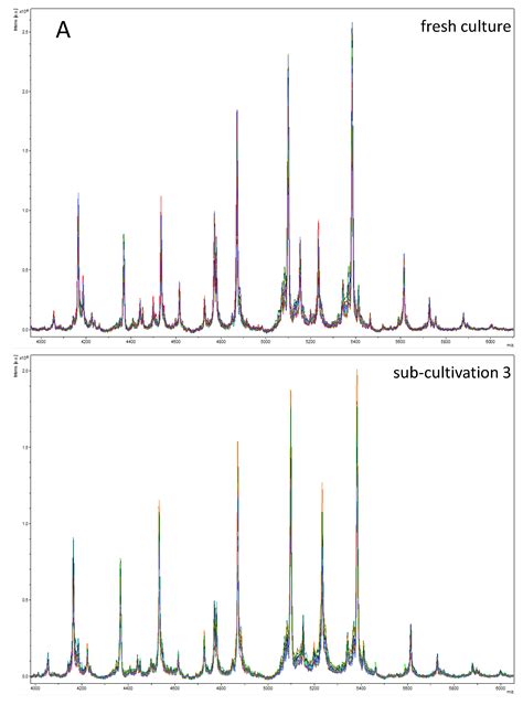 Discrimination and Characterization of Escherichia coli Originating ...