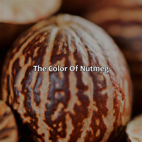 What Color Is Nutmeg - colorscombo.com