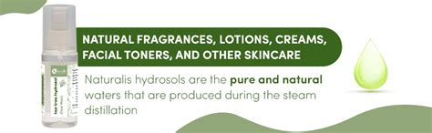 Buy Naturalis Essence of Nature Tea Tree Water Toner Heals Acne, and ...