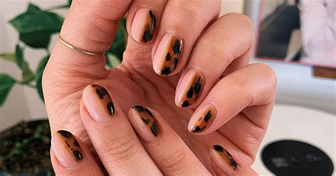 Image result for Tortoise Shell Manicure