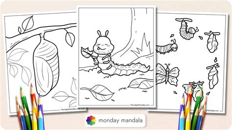 Printable Caterpillar Coloring Pages Printable Hungry Caterpillar