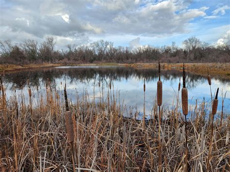 Anderson River Park, January 2023