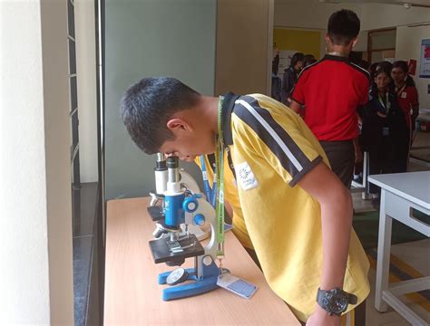 Grade 7 Science Budding and Fragmentation