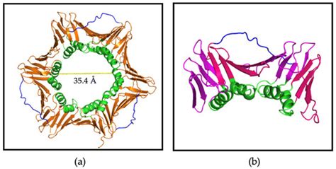 Towards a High-Affinity Peptidomimetic Targeting Proliferating Cell ...