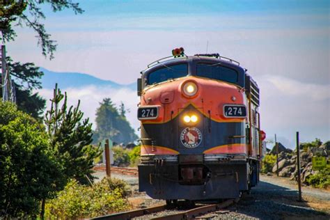 Image result for Spring Break Train