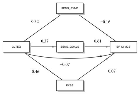 The Relationships between Physical Activity, Self-Efficacy, and Quality ...