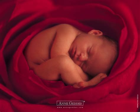 🔥 [50+] Anne Geddes Baby Wallpapers | WallpaperSafari